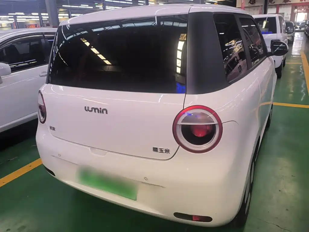 Qiyuan Lumin — миниатюра 6
