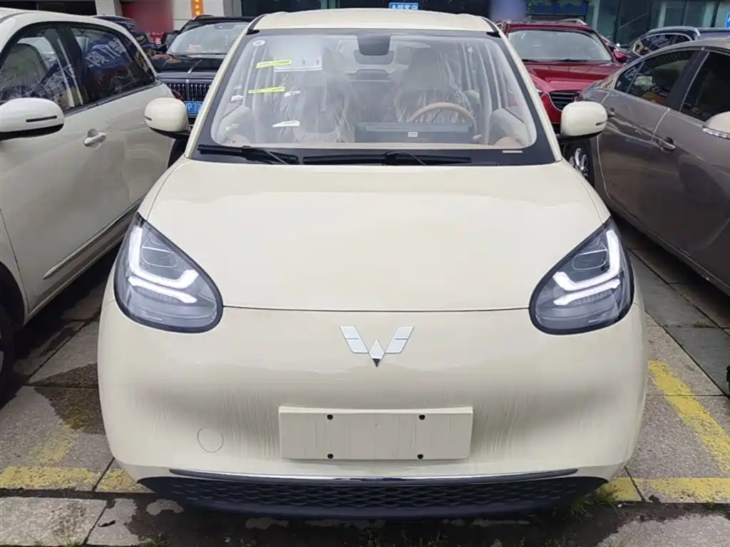Wuling Binguo 2025 333km Enjoy