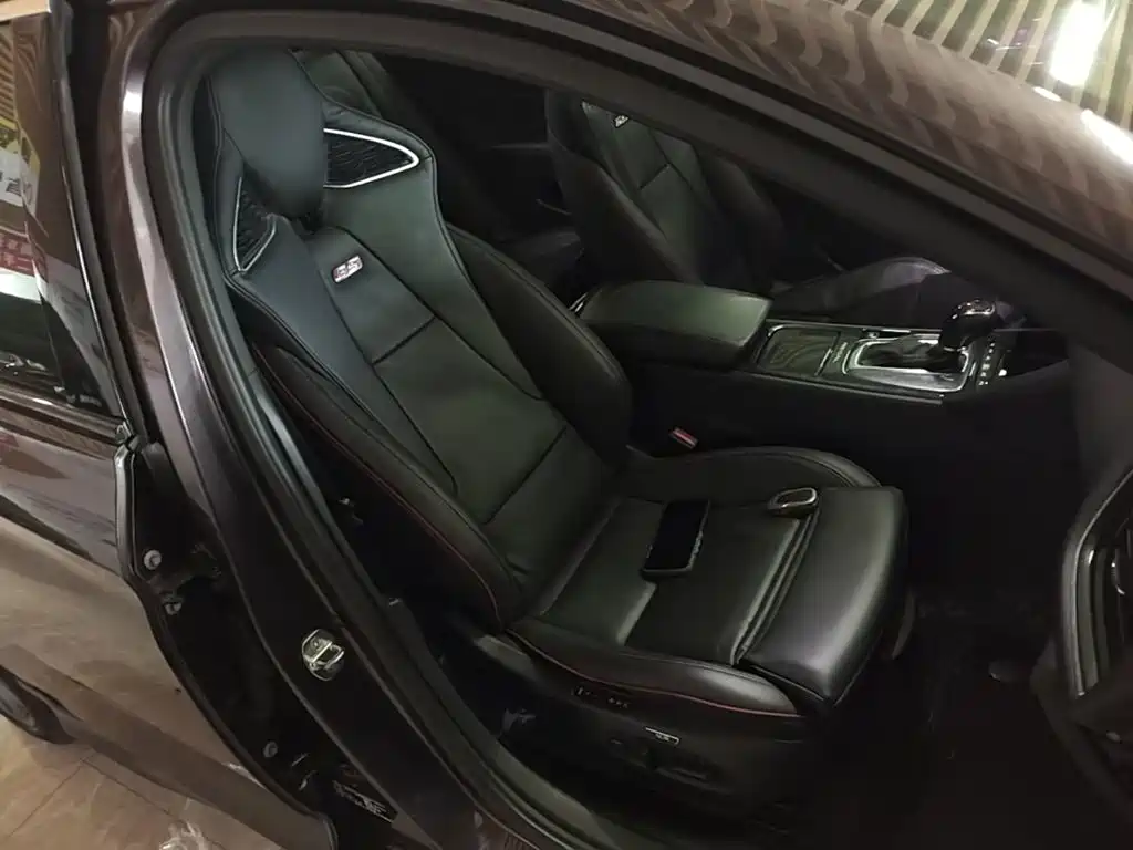 Buick Regal — миниатюра 25