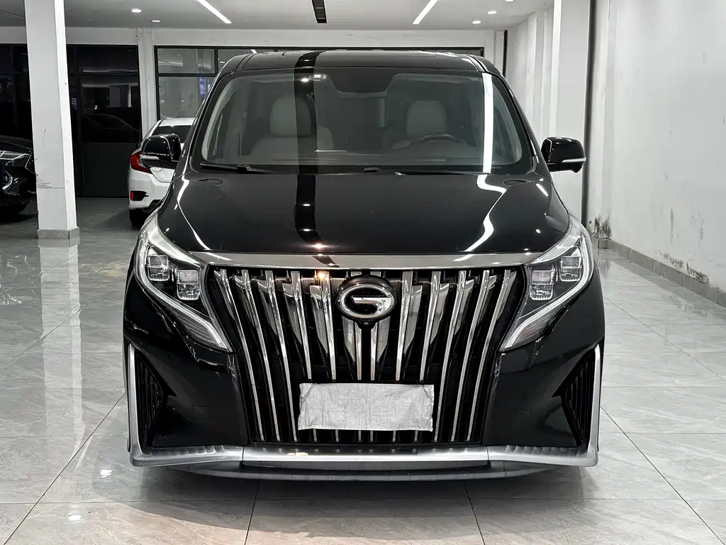 GAC Motor Trumpchi M8 — миниатюра 2