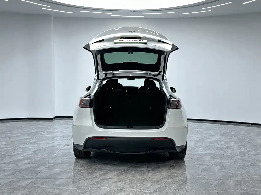 Tesla Model Y — миниатюра 6