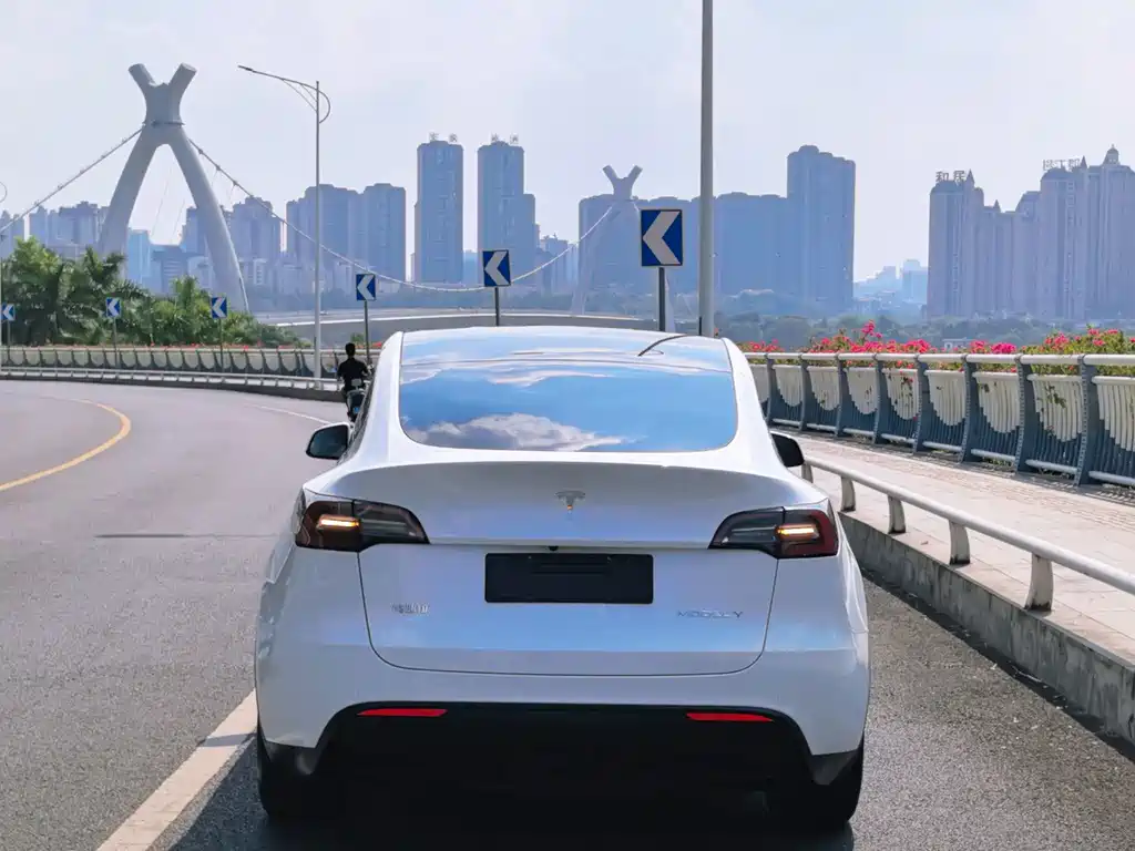Tesla Model Y — миниатюра 5