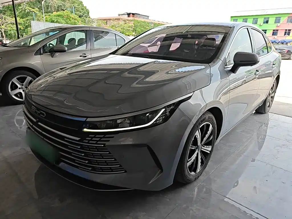 BYD Destroyer 05 2022 DM-i 55KM Luxury