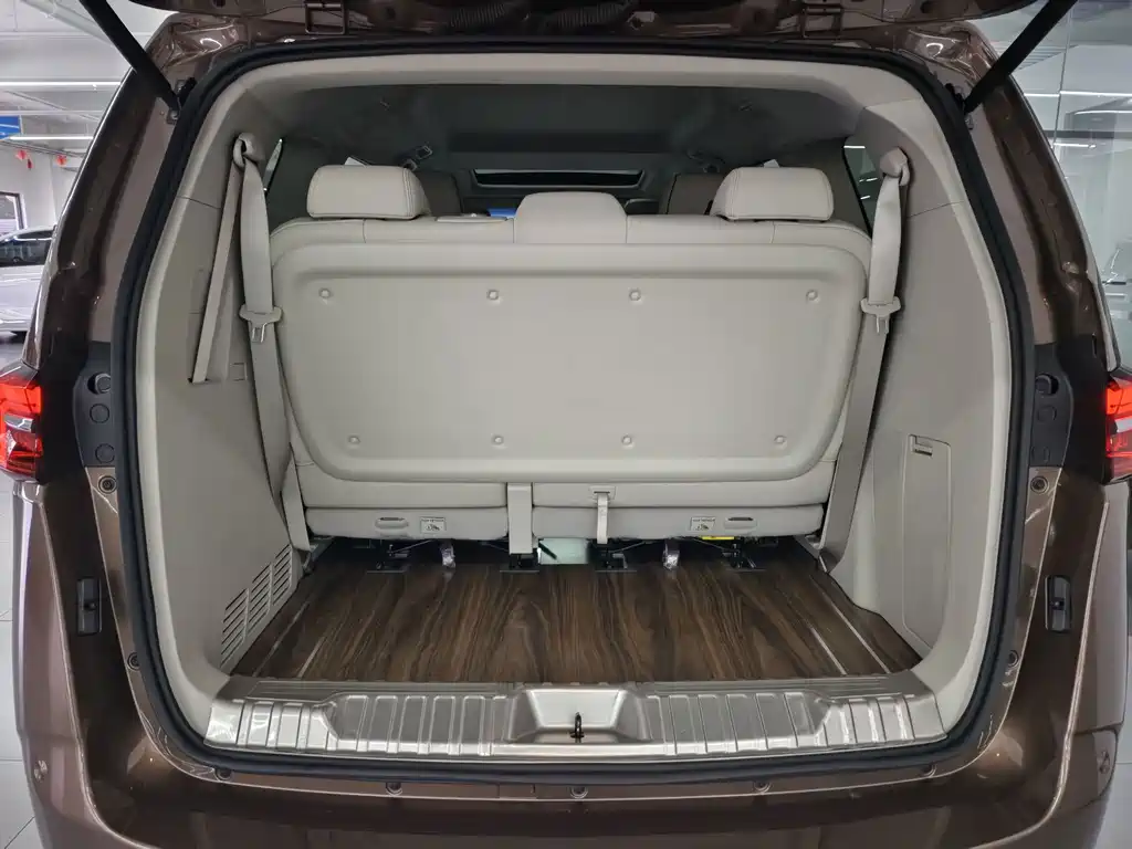 Buick GL8 — миниатюра 18