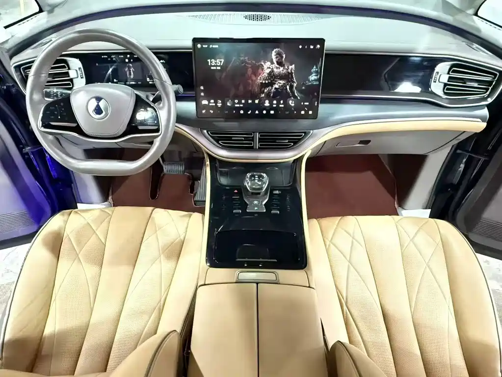 Denza Denza D9 — миниатюра 5