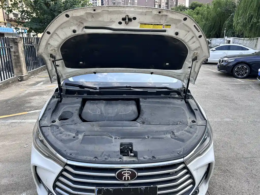 BYD MAX — миниатюра 11