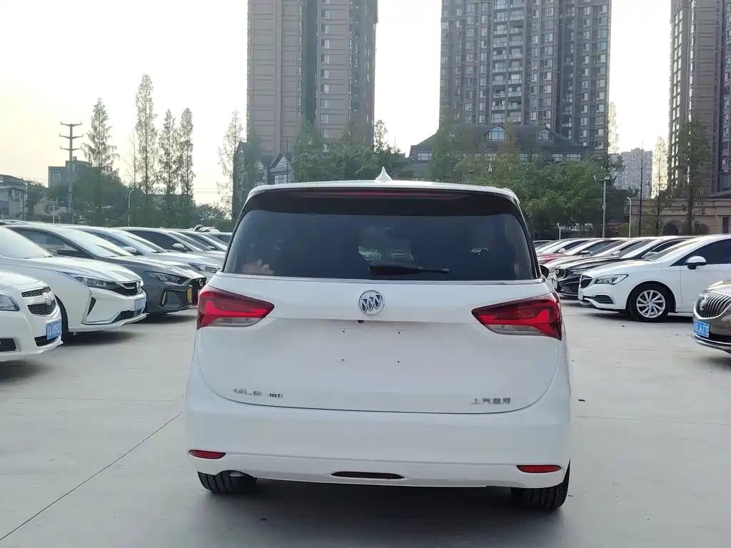 Buick GL6 — миниатюра 16