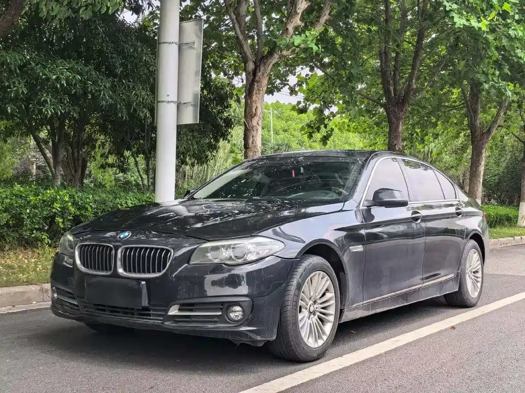 BMW 5 Series 2013 525Li Leading Type
