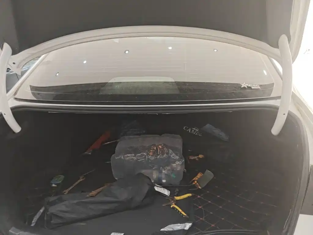Volkswagen Lamando — миниатюра 19