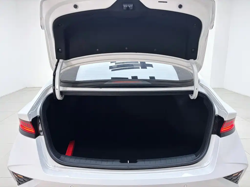 Hyundai Fista — миниатюра 3