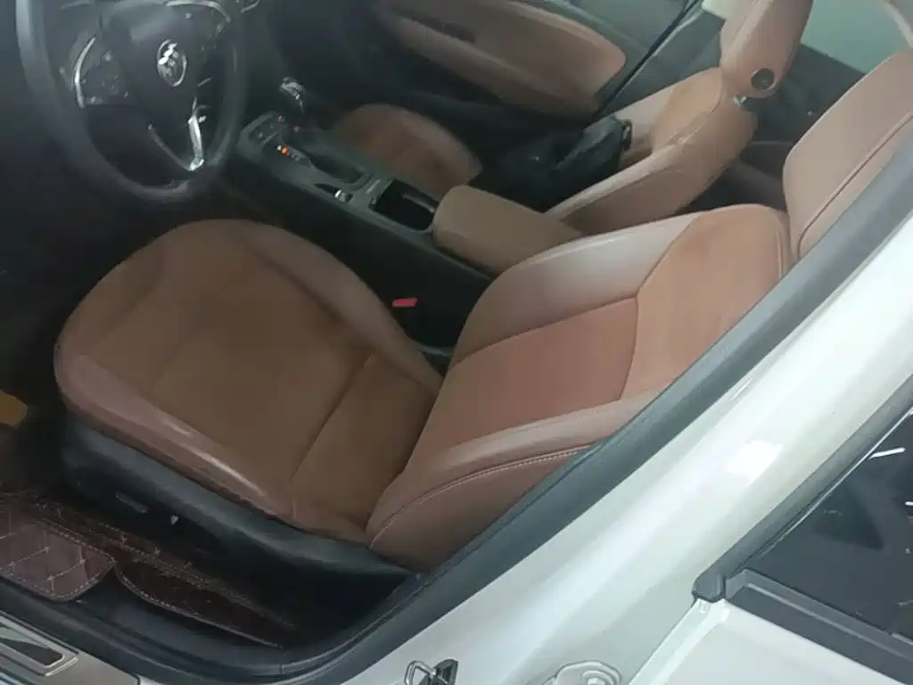 Buick Regal — миниатюра 15