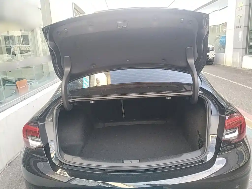 Buick Regal — миниатюра 19