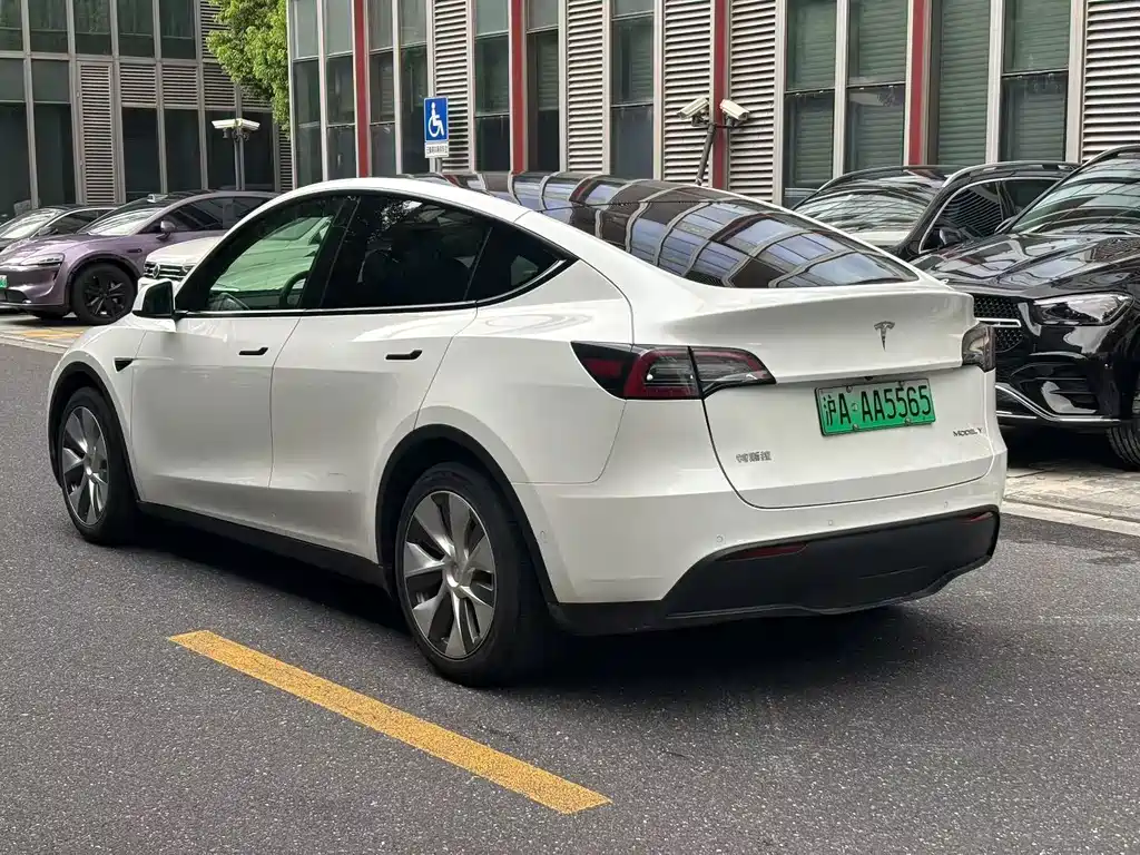 Tesla Model Y — миниатюра 7