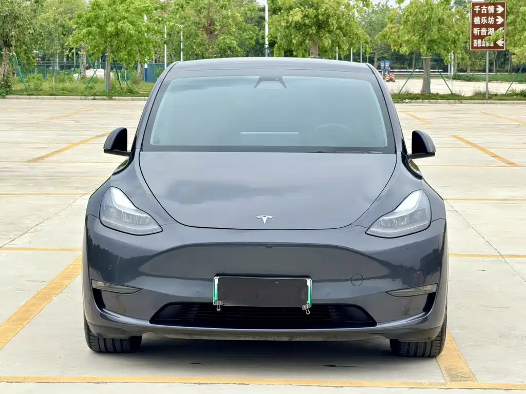 Tesla Model Y — миниатюра 3