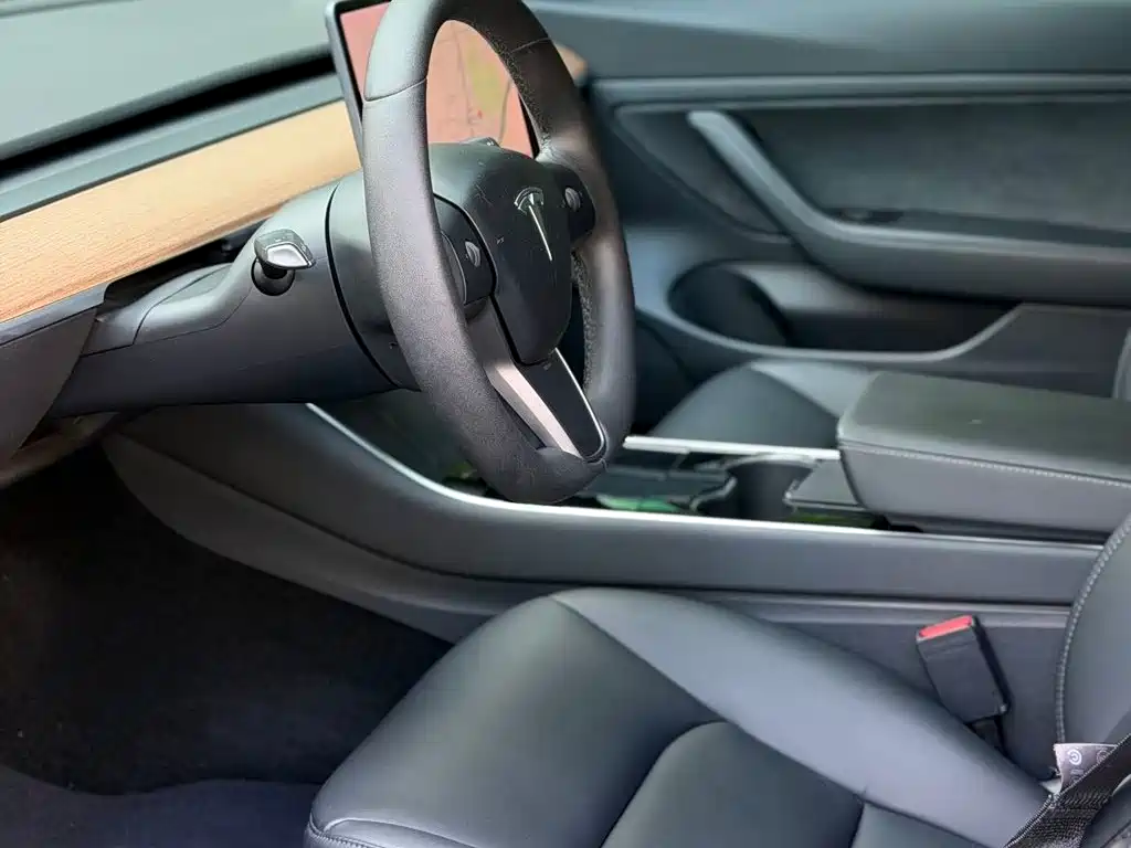 Tesla Model 3 — миниатюра 4