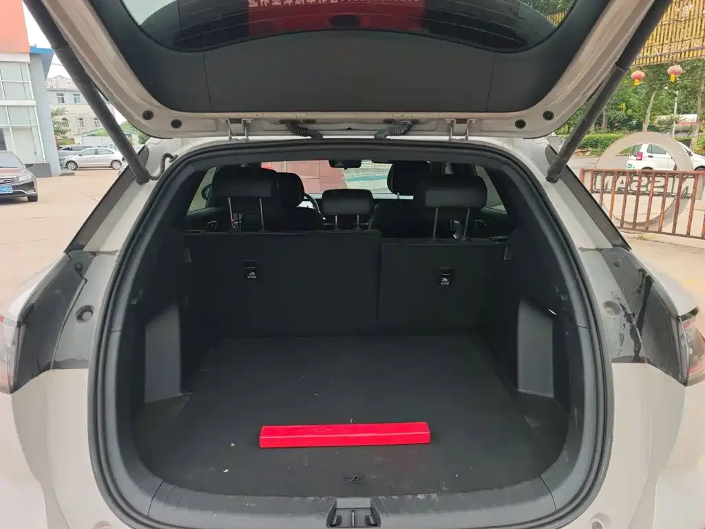 BYD Sealion 06 — миниатюра 15