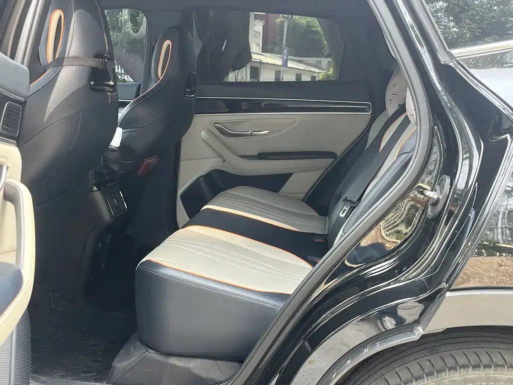 BYD PLUS New Energy — миниатюра 6