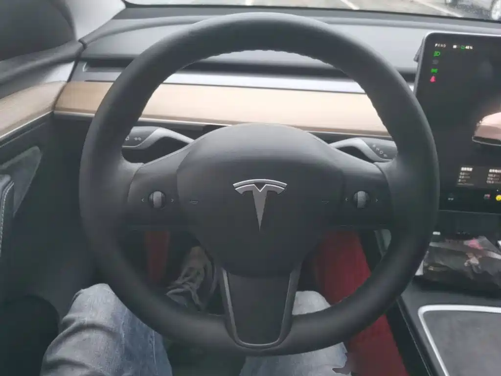 Tesla Model Y — миниатюра 11