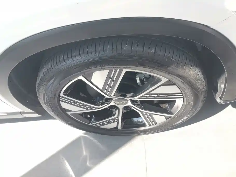 BYD Pro New Energy — миниатюра 6