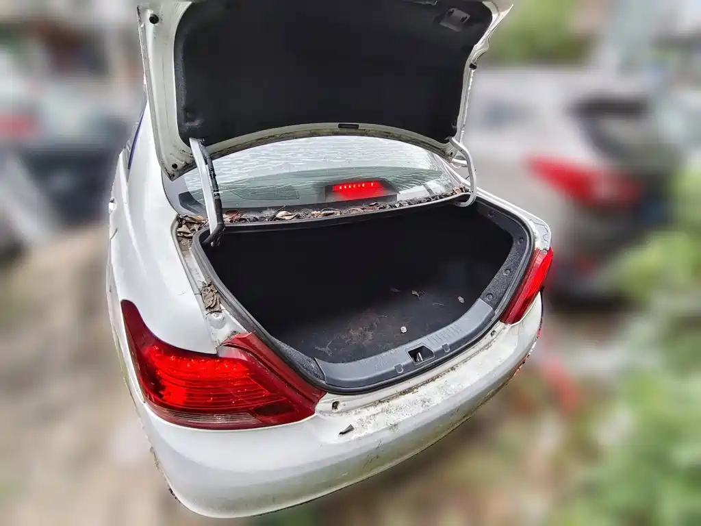 BYD Surui — миниатюра 20