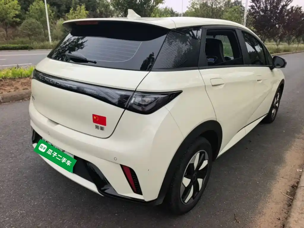 BYD Dolphin — миниатюра 7