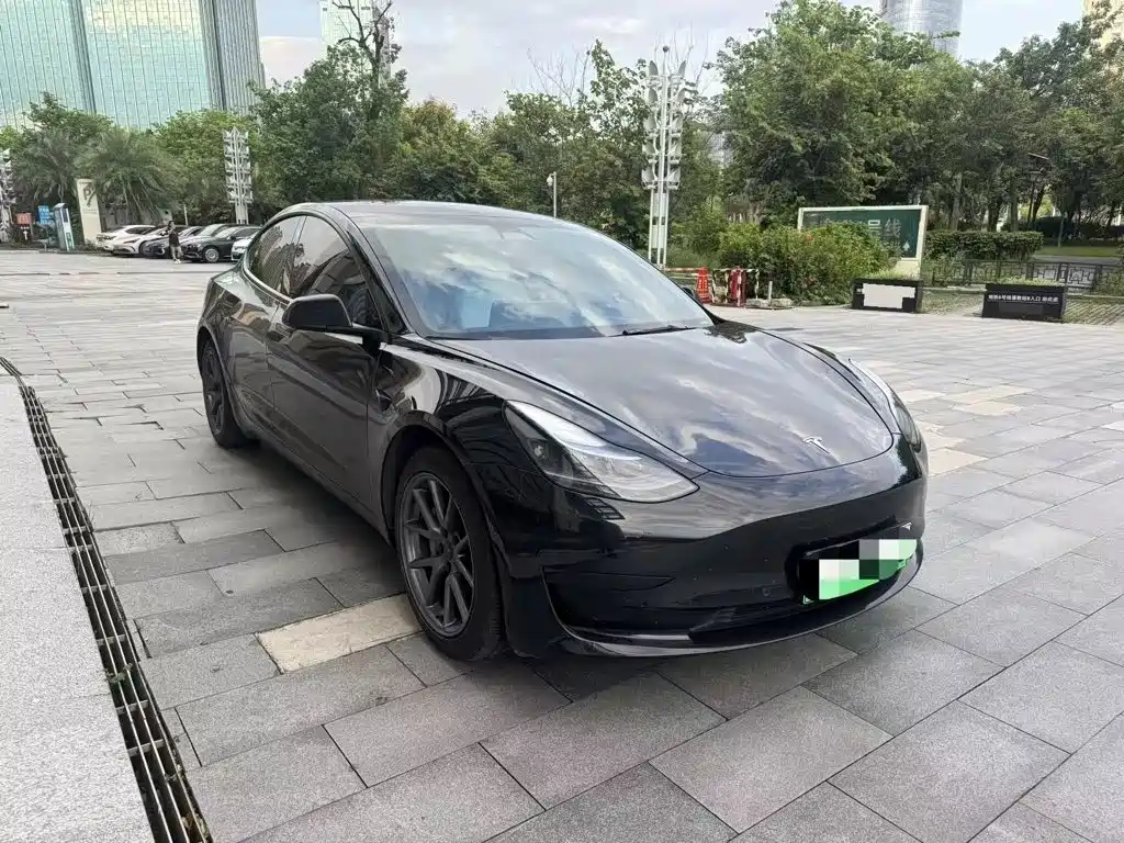 Tesla Model 3 — миниатюра 3
