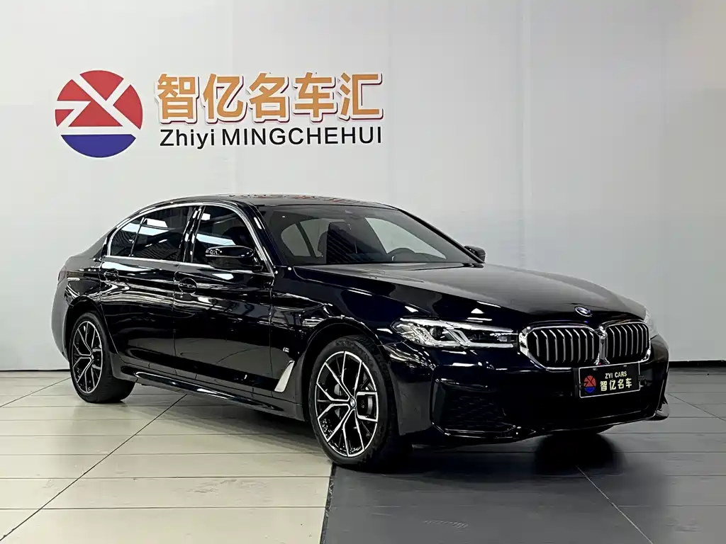 BMW 5 Series — миниатюра 15
