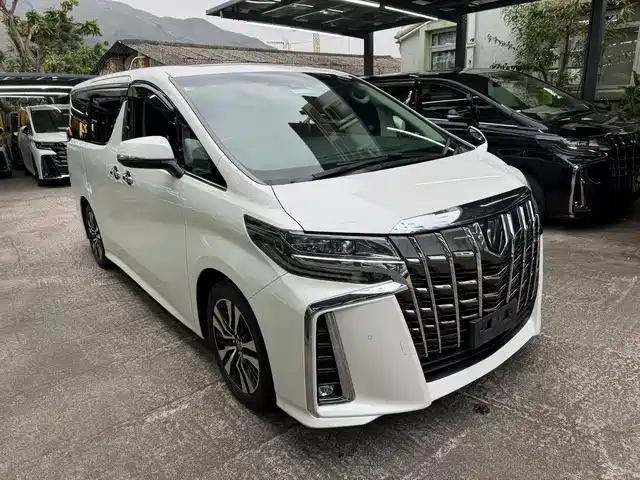 TOYOTA ELFA 2019