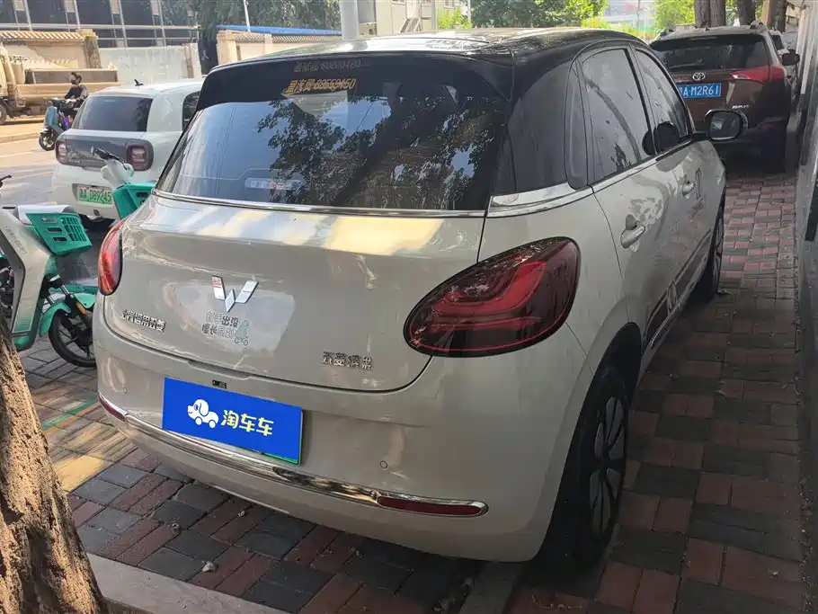 Wuling Binguo 2024 333km Enjoy