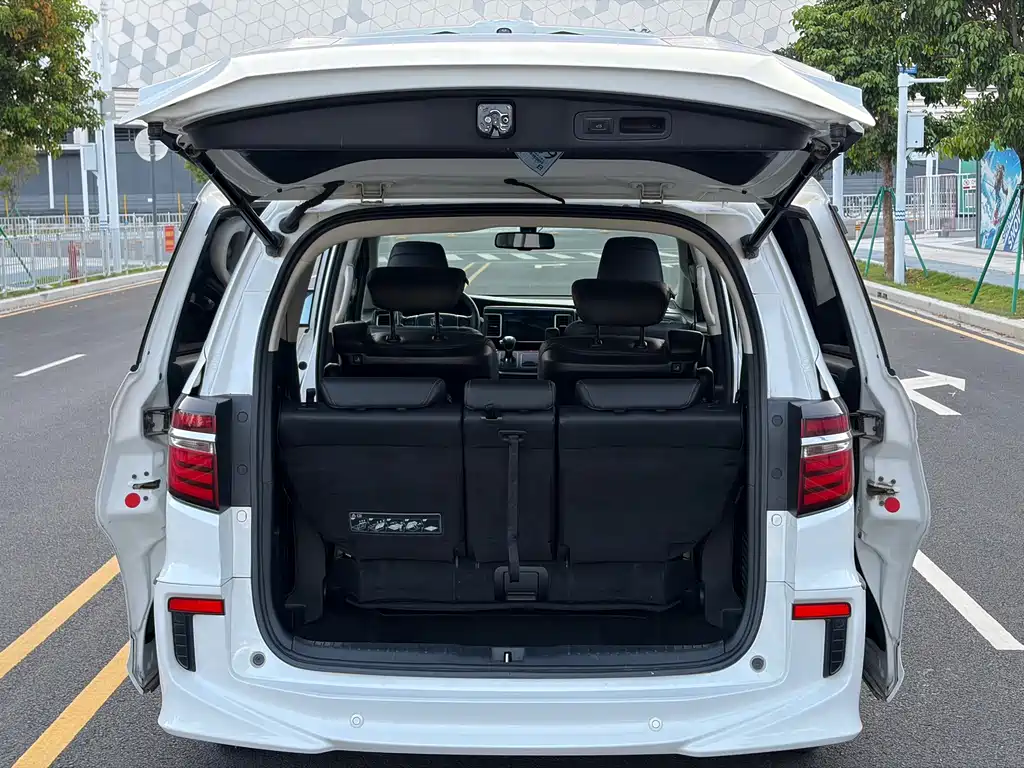 Honda Elysion — миниатюра 19