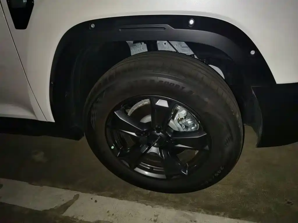 Haval Menglong Petrol 2.0T 4WD Pro, фото 24