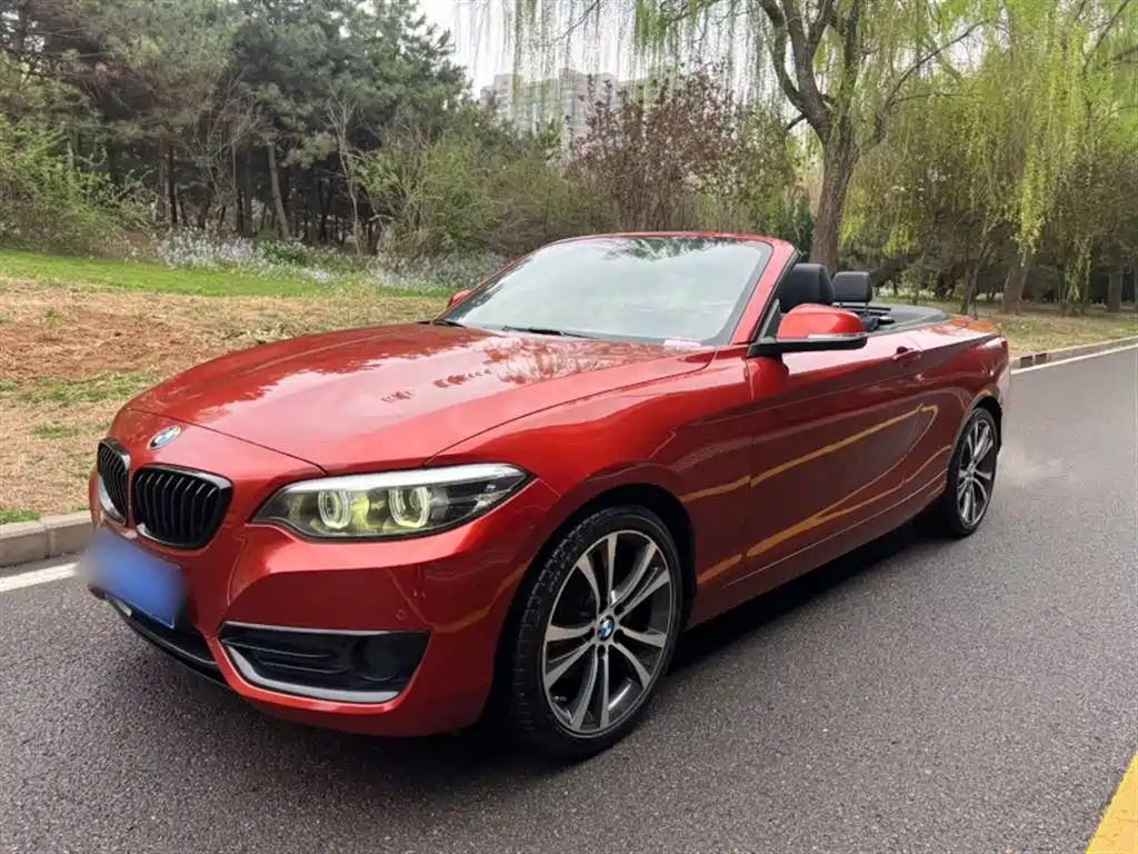 BMW 2 Series 2 2019 225i Sport