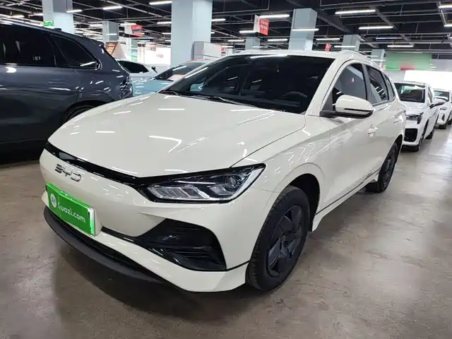 2024 BYD e2
