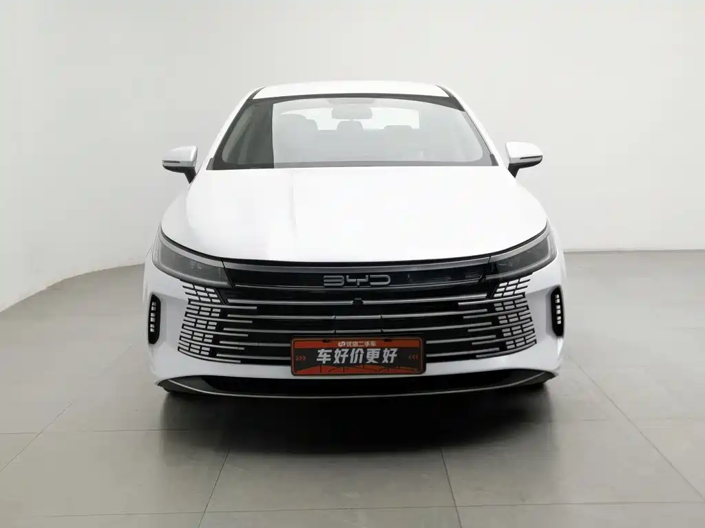 BYD Destroyer 05 — миниатюра 3