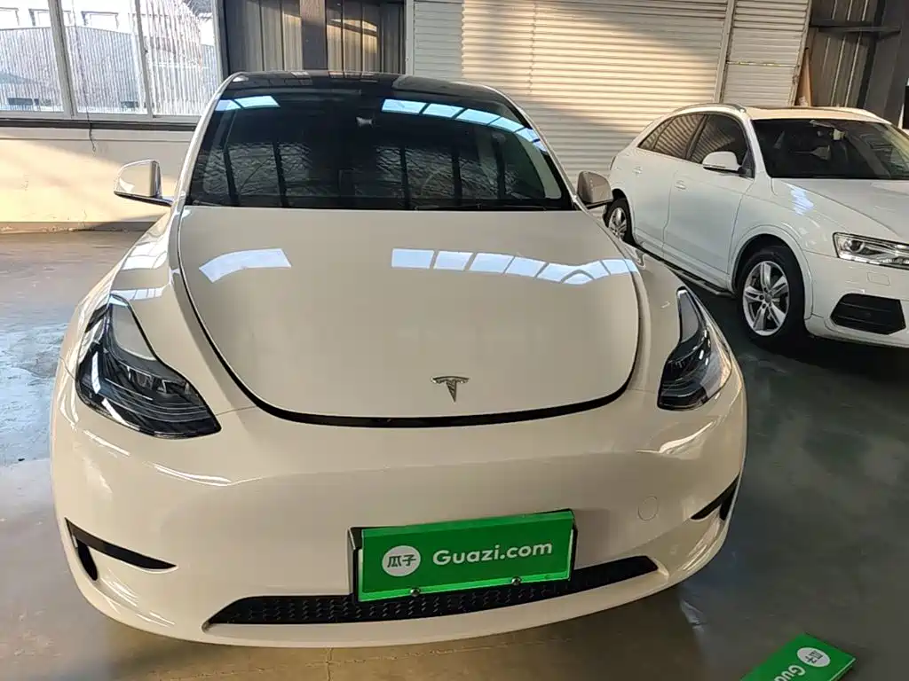 Tesla Model Y — миниатюра 3