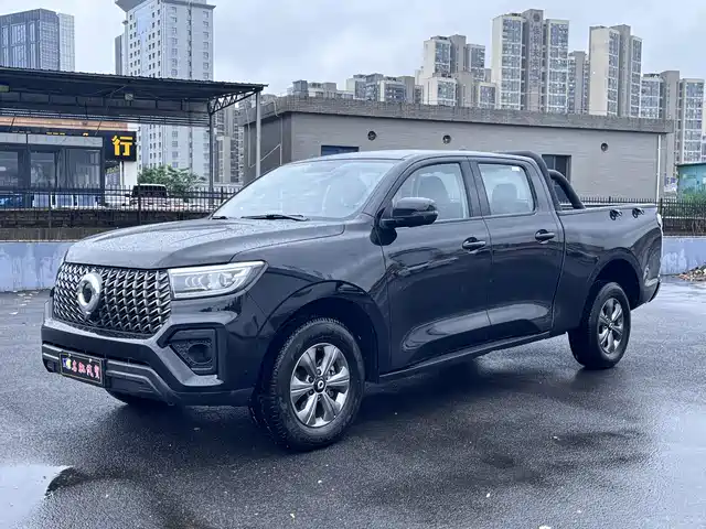 GREAT WALL CANNON 2024