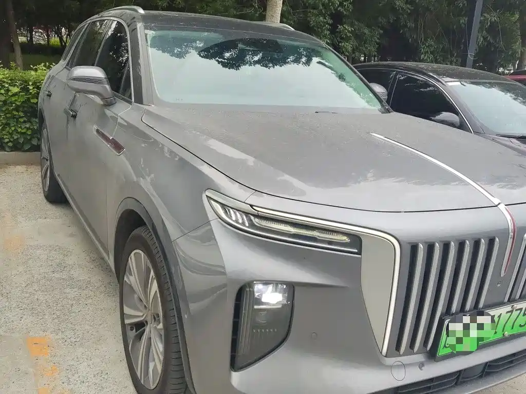 Hongqi E-HS9 2021 510km мест