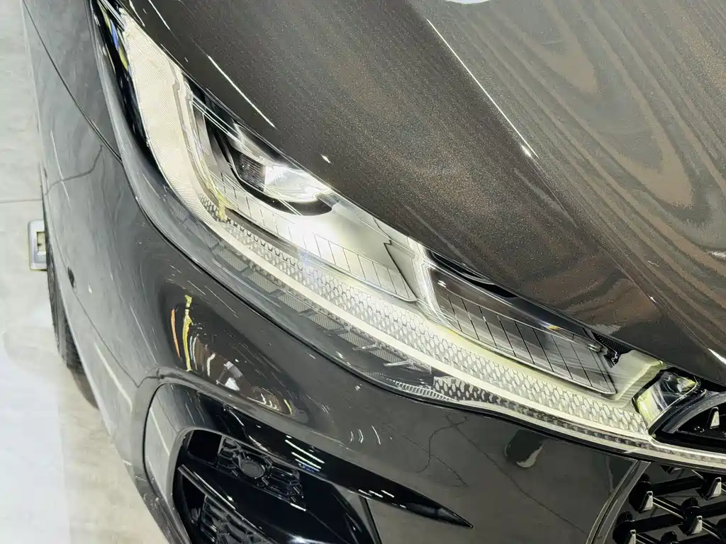 Lincoln Z Facelift i Enjoy Elegant Edition, фото 6