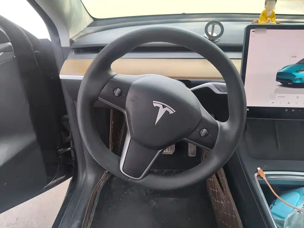 Tesla Model Y — миниатюра 3