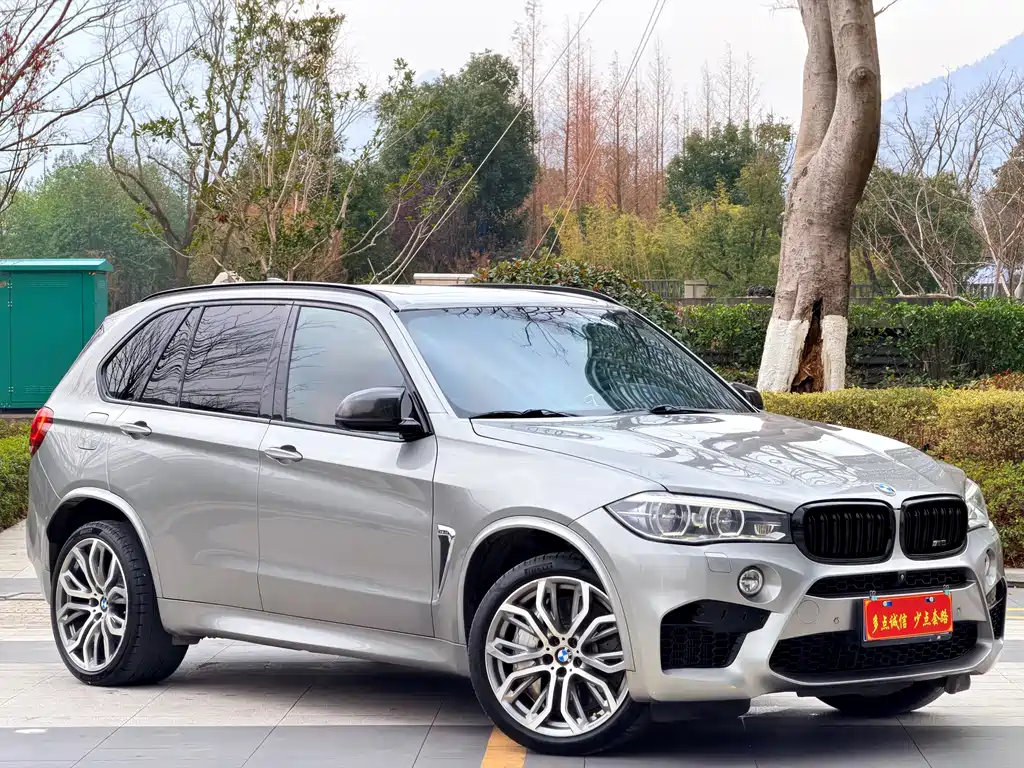 BMW X5 M 2015 X5 M