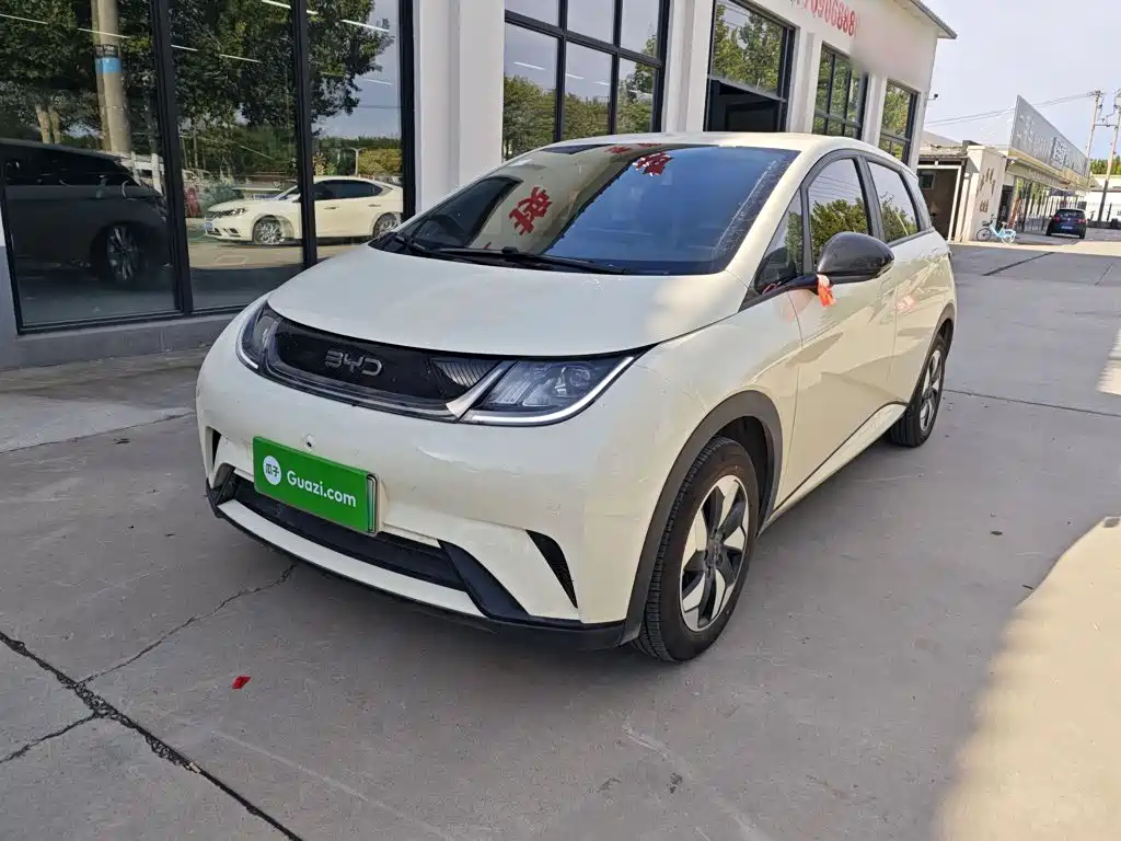 BYD Dolphin — миниатюра 2