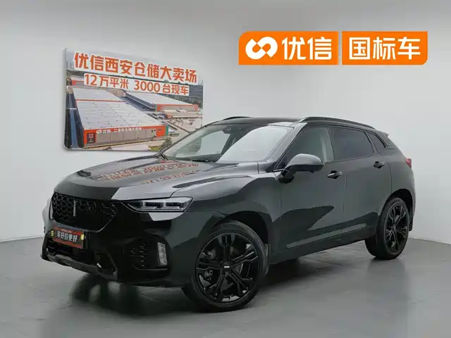 2019 Wey VV7