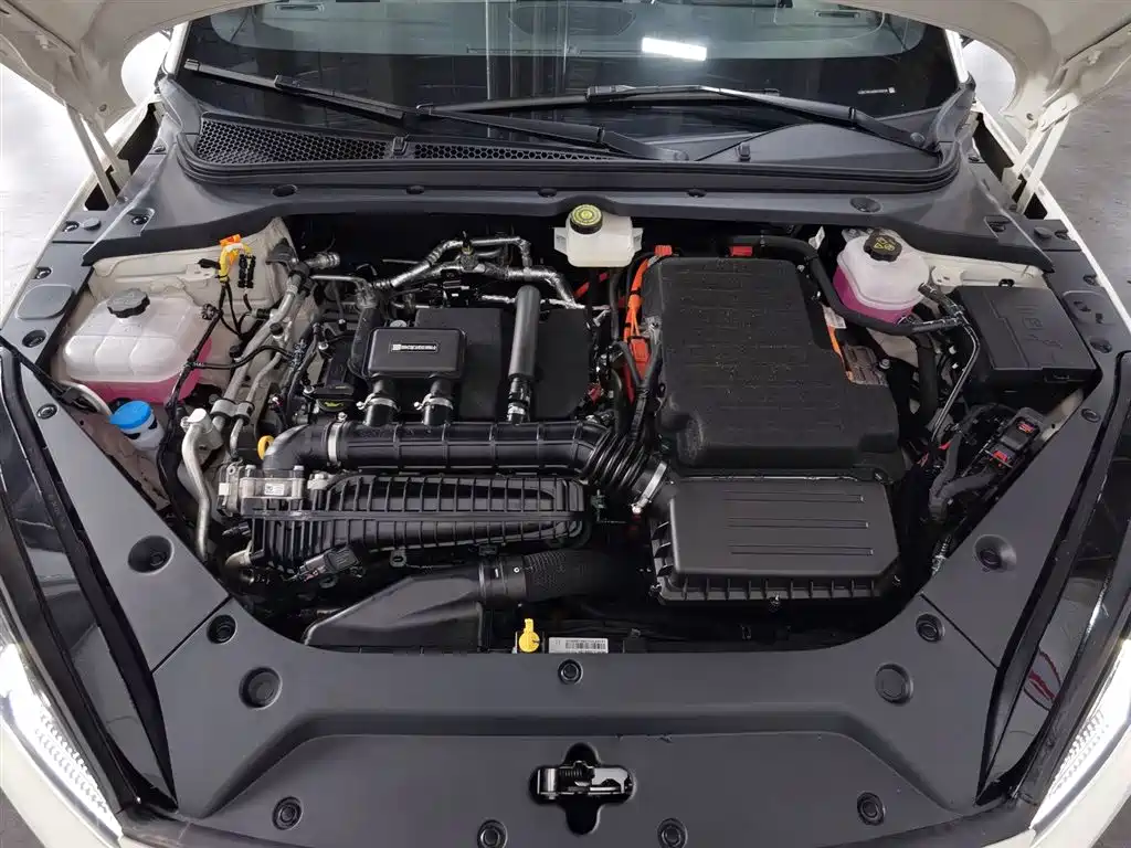 BYD Seal 06 06 2024 DM-i 80KM Luxury