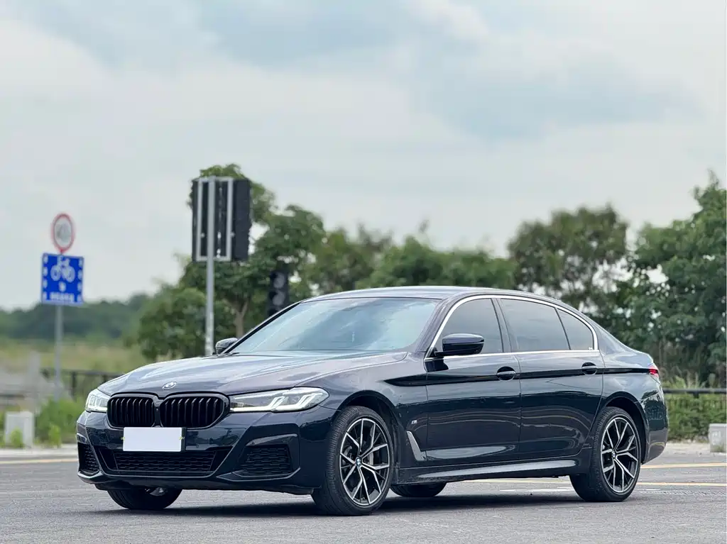 Купить BMW 5 Series