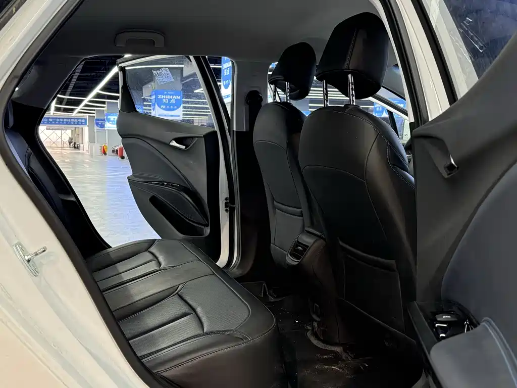 BUICK SLIGHTLY BLUE 6