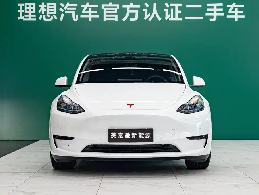 Tesla Model Y — миниатюра 2