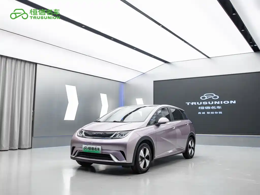 Byd Dolphin 2024
