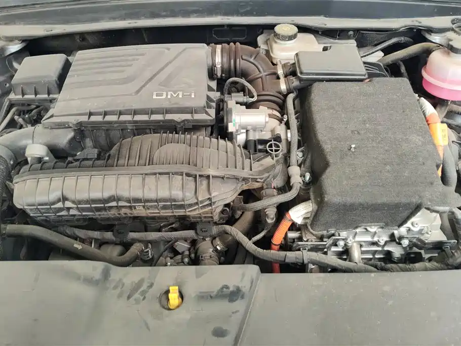 BYD Destroyer 05 2023 Champion DM-i 55KM Luxury