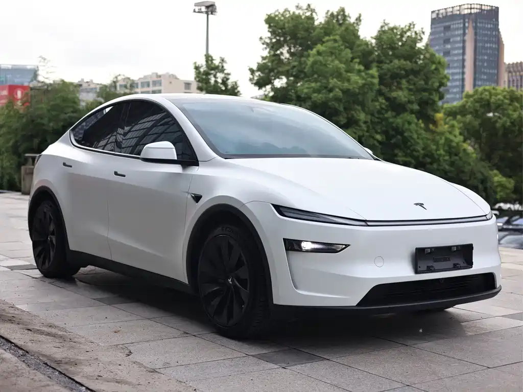 Tesla Model Y — миниатюра 3