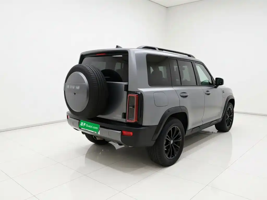 Haval Menglong New Energy — миниатюра 5